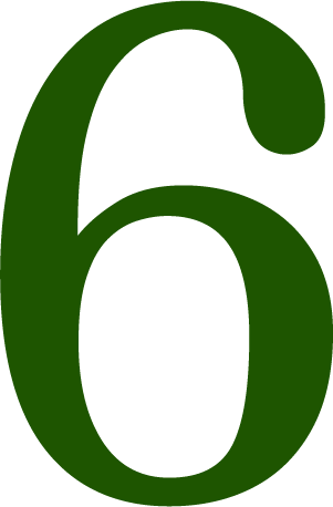 6